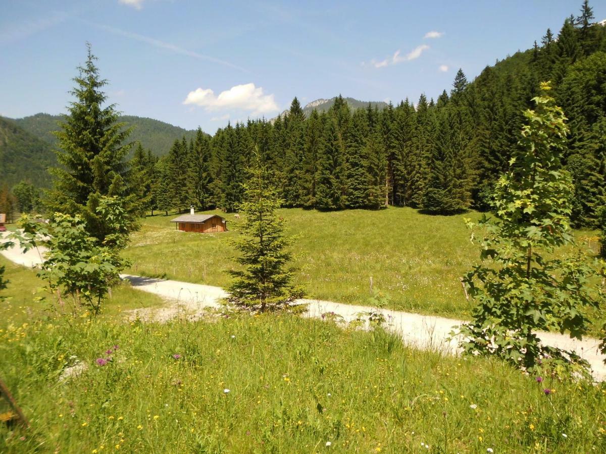 Seewiesenalm Reit im Winkl Exterior foto